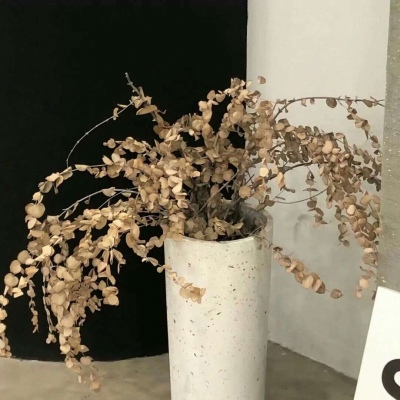 额尔古纳FurryQQ群介绍